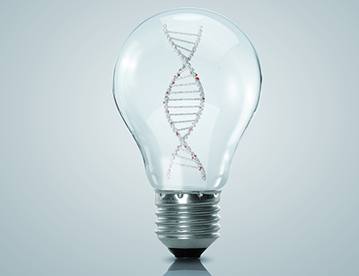 為什么泳池中有磷酸鹽?