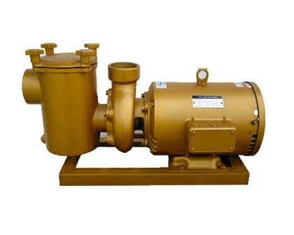 BP系列泳池循環(huán)銅泵